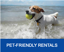 book-direct-pet-friendly-rentals.png