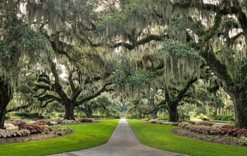 Romance in The Gardens at Brookgreen Gardens